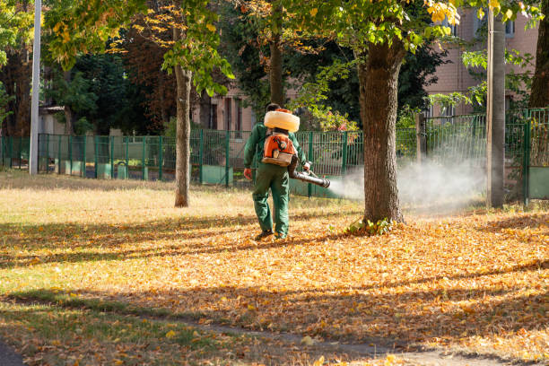 Bird Control in Bellefonte, PA